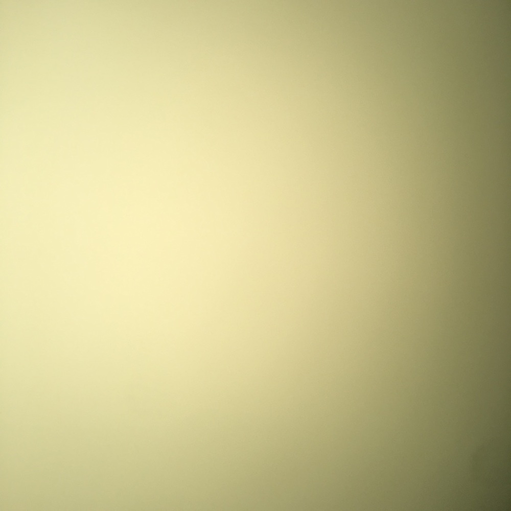 Meet your Posher, Cecilia